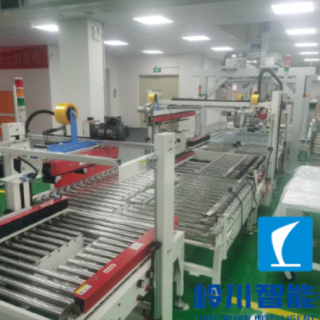 逆（nì）變器包裝流水線